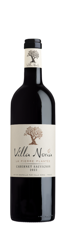 La Pierre Plant&eacute;e Cabernet Sauvignon BIO, IGP Pays d'Oc 2024
