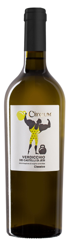 Verdicchio dei Castelli di Jesi (Classico) Circum, Verdicchio dei Castelli di Jesi 2024